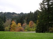 11.06.05 Wildwood Trail 018 